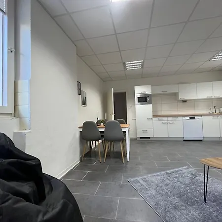 Simplex Kriegsstrasse 公寓 卡尔斯鲁厄